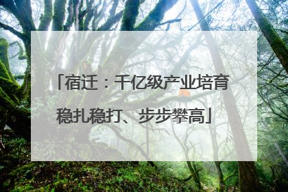 宿迁：千亿级产业培育稳扎稳打、步步攀高