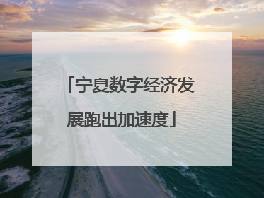 宁夏数字经济发展跑出加速度