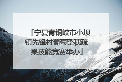 宁夏青铜峡市小坝镇先锋村葡萄整穗疏果技能竞赛举办