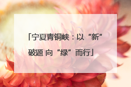 宁夏青铜峡：以“新”破题 向“绿”而行
