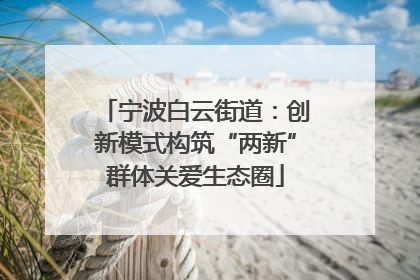 宁波白云街道：创新模式构筑“两新”群体关爱生态圈