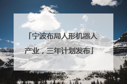 宁波布局人形机器人产业，三年计划发布