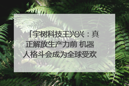 宇树科技王兴兴：真正解放生产力前 机器人格斗会成为全球受欢迎的赛事｜科技观察