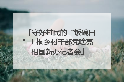 守好村民的“饭碗田”！桐乡村干部凭啥亮相国新办记者会