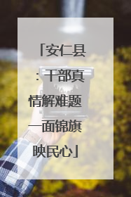安仁县：干部真情解难题一面锦旗映民心