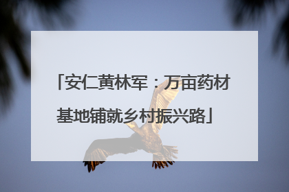 安仁黄林军：万亩药材基地铺就乡村振兴路