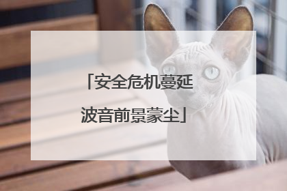 安全危机蔓延 波音前景蒙尘