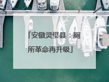 安徽灵璧县：厕所革命再升级