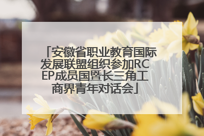 安徽省职业教育国际发展联盟组织参加RCEP成员国暨长三角工商界青年对话会