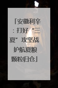安徽利辛：打好“三夏”攻坚战 护航夏粮颗粒归仓