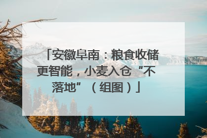 安徽阜南：粮食收储更智能，小麦入仓“不落地”（组图）