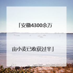 安徽4300余万亩小麦已收获过半