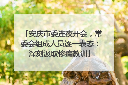 安庆市委连夜开会，常委会组成人员逐一表态：深刻汲取惨痛教训