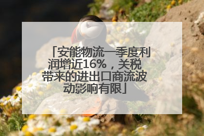 安能物流一季度利润增近16%，关税带来的进出口商流波动影响有限