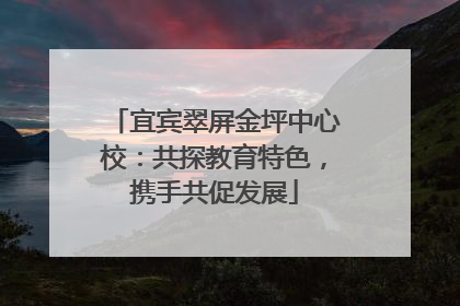 宜宾翠屏金坪中心校：共探教育特色，携手共促发展