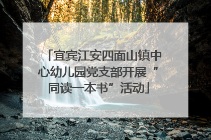 宜宾江安四面山镇中心幼儿园党支部开展“同读一本书”活动