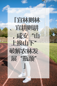 宜林则林、宜耕则耕，咸安“山上换山下”破解农林发展“瓶颈”