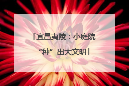 宜昌夷陵：小庭院“种”出大文明