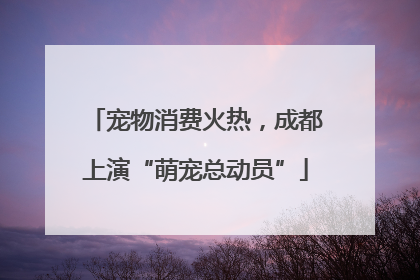 宠物消费火热，成都上演“萌宠总动员”