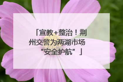 宣教+整治！荆州交警为两湖市场“安全护航”