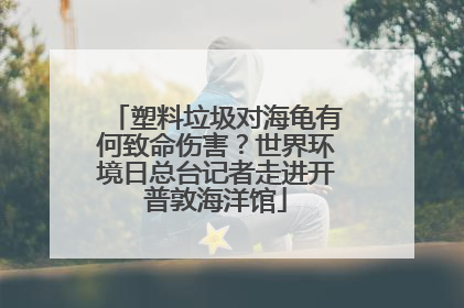 塑料垃圾对海龟有何致命伤害？世界环境日总台记者走进开普敦海洋馆