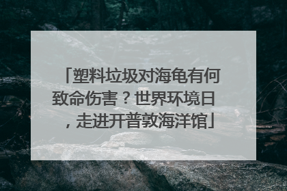 塑料垃圾对海龟有何致命伤害？世界环境日，走进开普敦海洋馆
