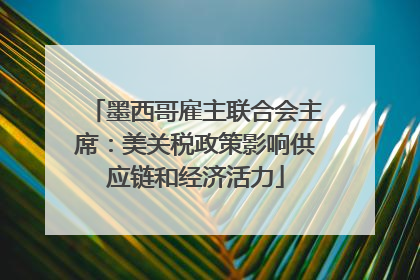 墨西哥雇主联合会主席：美关税政策影响供应链和经济活力