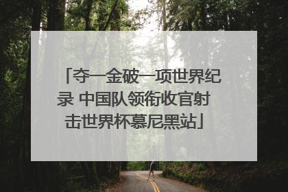 夺一金破一项世界纪录 中国队领衔收官射击世界杯慕尼黑站