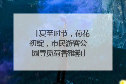 夏至时节，荷花初绽，市民游客公园寻觅荷香雅韵
