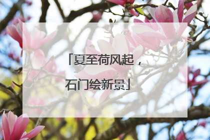 夏至荷风起，石门绘新景