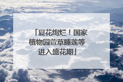 夏花绚烂！国家植物园萱草睡莲等进入盛花期
