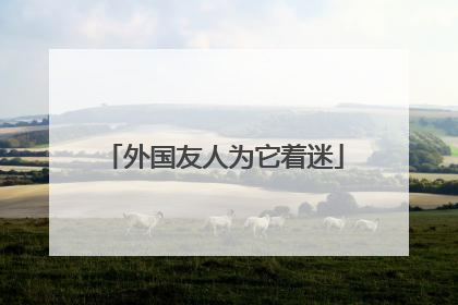 外国友人为它着迷
