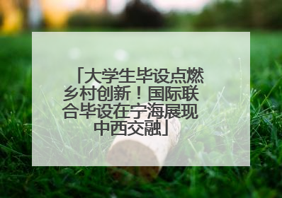 大学生毕设点燃乡村创新！国际联合毕设在宁海展现中西交融