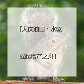 大庆油田：水驱载起增产之舟