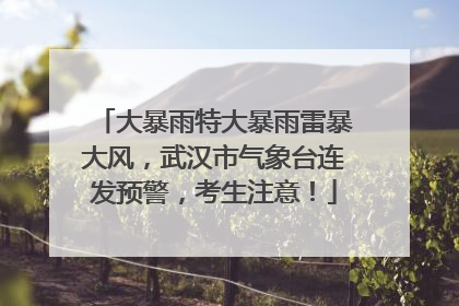 大暴雨特大暴雨雷暴大风，武汉市气象台连发预警，考生注意！