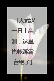 大武汉一日丨亲测，这里搭帐篷露营绝了