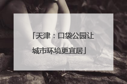 天津：口袋公园让城市环境更宜居