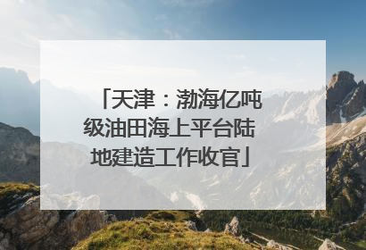 天津：渤海亿吨级油田海上平台陆地建造工作收官