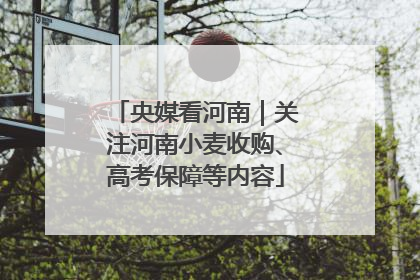 央媒看河南｜关注河南小麦收购、高考保障等内容