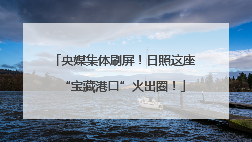 央媒集体刷屏！日照这座“宝藏港口”火出圈！