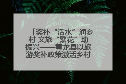 奖补“活水”润乡村 文旅“繁花”助振兴——黄龙县以旅游奖补政策激活乡村振兴新动能