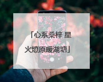 心系桑梓 星火燎原暖湖塘