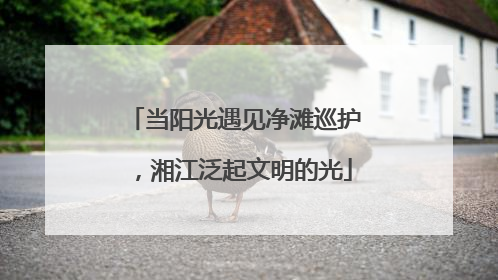 当阳光遇见净滩巡护，湘江泛起文明的光