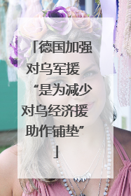 德国加强对乌军援 “是为减少对乌经济援助作铺垫”