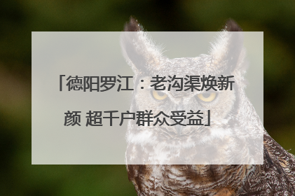 德阳罗江：老沟渠焕新颜 超千户群众受益