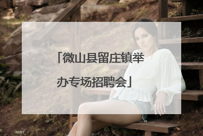 微山县留庄镇举办专场招聘会