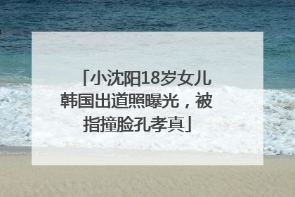 小沈阳18岁女儿韩国出道照曝光，被指撞脸孔孝真