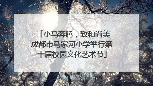 小马奔腾，致和尚美 成都市马家河小学举行第十届校园文化艺术节