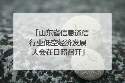 山东省信息通信行业低空经济发展大会在日照召开