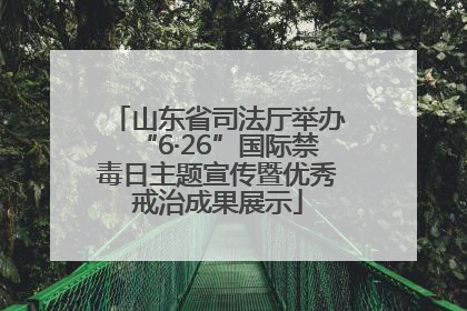 山东省司法厅举办“6·26”国际禁毒日主题宣传暨优秀戒治成果展示